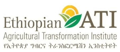 Agricultural Transformation Institute