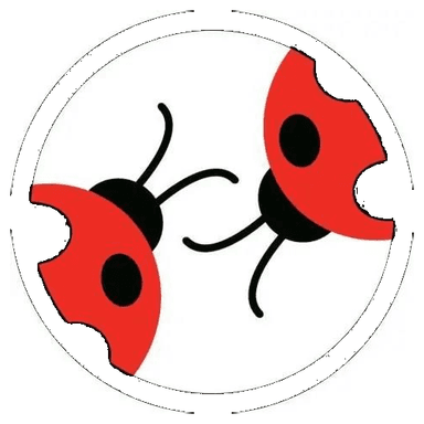 Dudutech